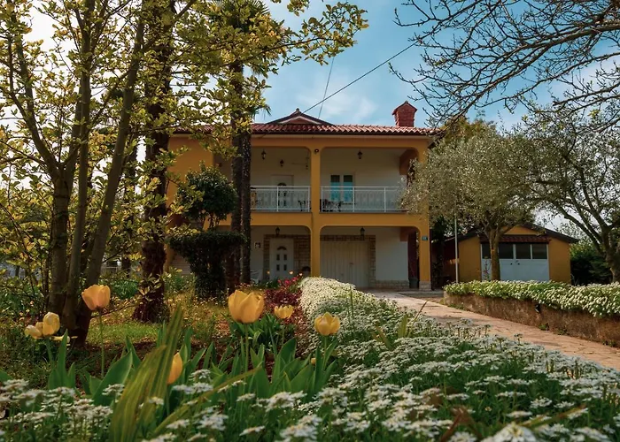 Apartment Villa Olga