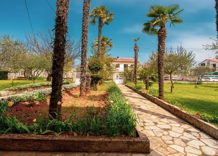 Apartment Villa Olga