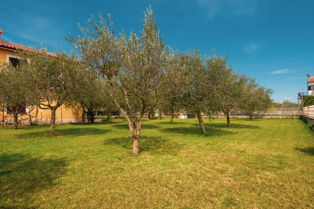 Appartement Olga *